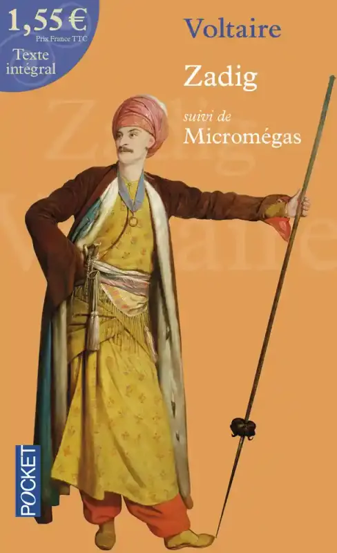 Zadig – Suivi de Micromégas