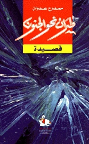 طيران نحو الجنون قصيدة