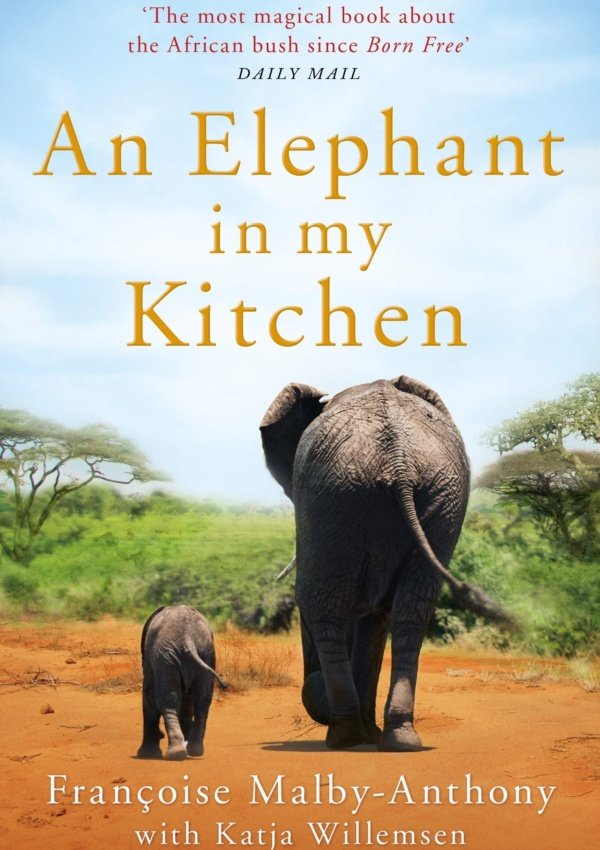 An Elephant in My Kitchen