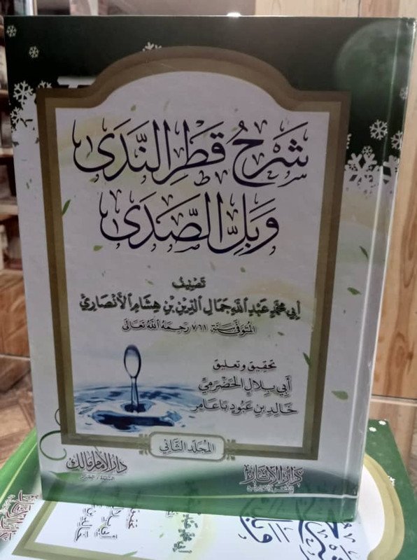 شرح قطر الندى وبل الصدى 1/2